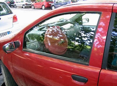 94825,xcitefun-unusual-car-security-10.jpg