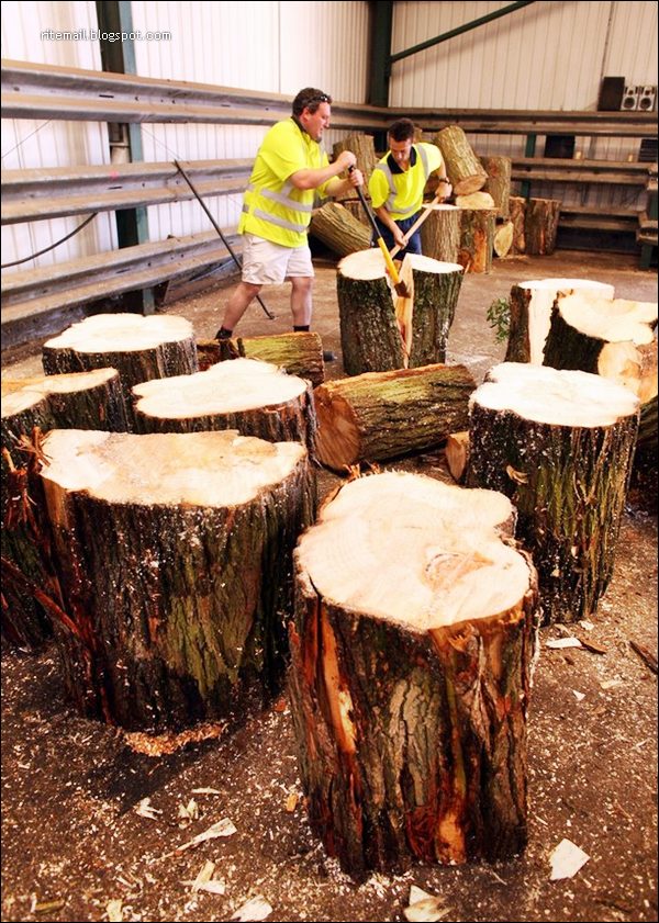 How Cricket Bat Manufactured