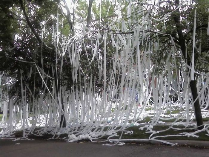 104468,xcitefun toilet paper 02 Toilet Paper Prank funny images