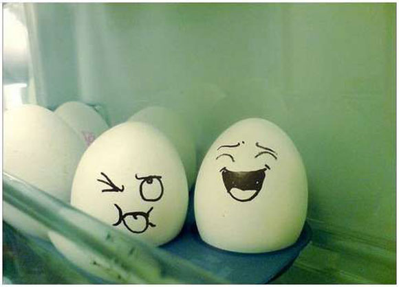 105601,xcitefun-funny-eggs-20.jpg