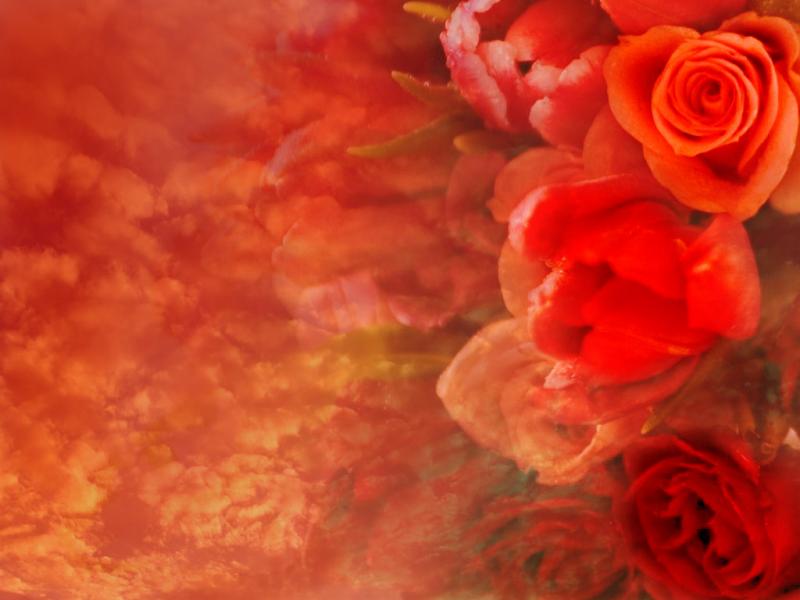 105811,xcitefun roses for someone 3 Ro$eS for ur BeloveD gallery