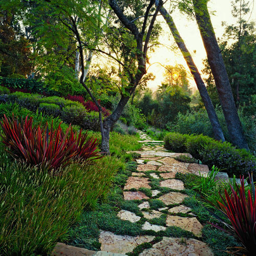 Beautiful Garden Paths