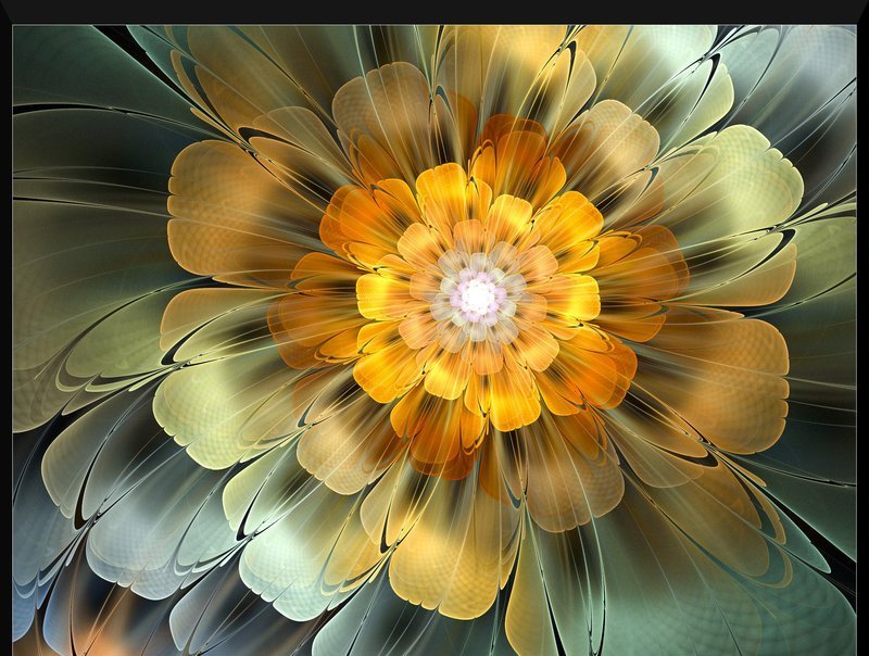 Flowers in FRACTALS - XciteFun.net