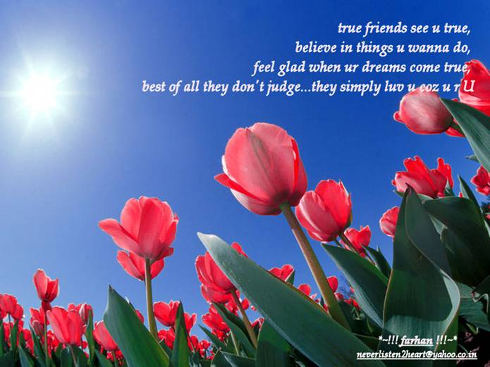 Friends For Ever