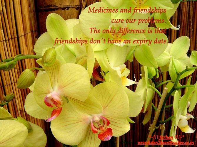 Friends For Ever