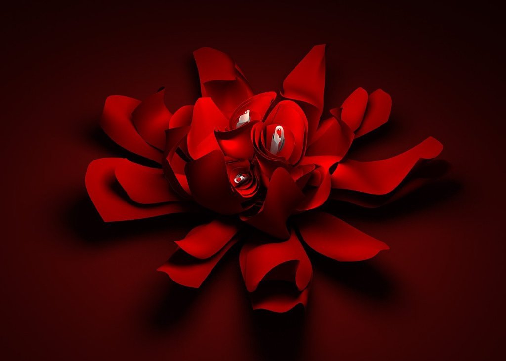 Wallpapers  Abstractions