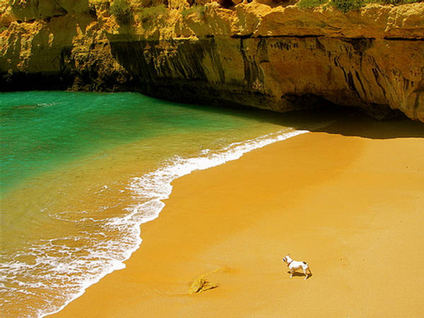 The most beautiful place in the world - Pagina 8 116615,xcitefun-algarve-portugal-10