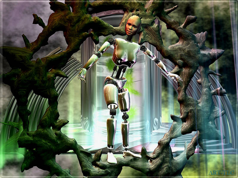 Humanoid Robot Out of The Lab  Robotic Wallpapers