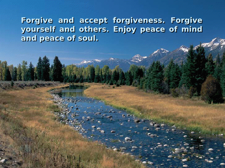Enjoy Life