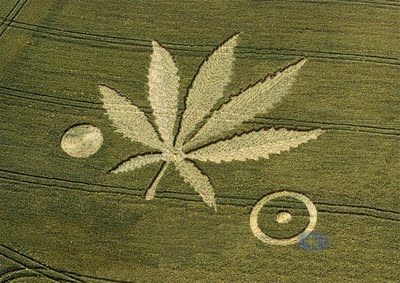 Crop Circle Creative Art