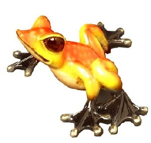 Latest Frog Modeling in Multi Dresses