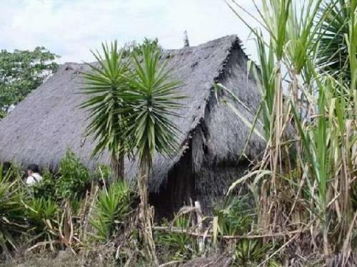 Strange Huts