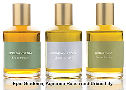 Multiple Perfumes  chose the best