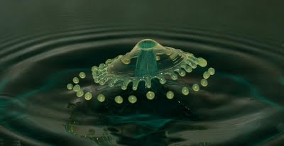 Beautiful Drops Photography