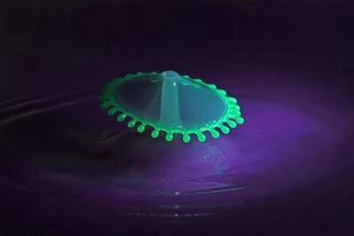 Beautiful Drops Photography