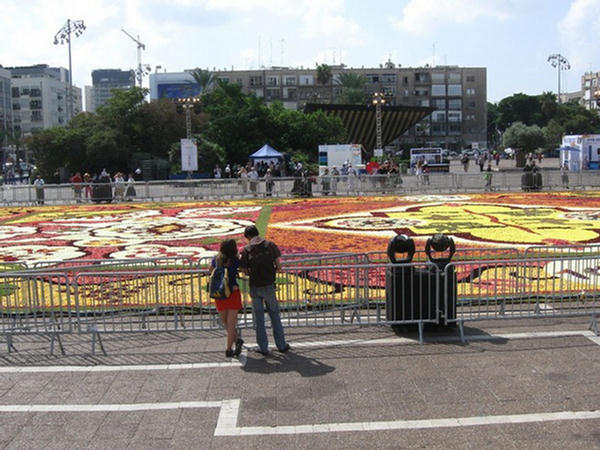 Tel Aviva Carpet of 500000 Flowers