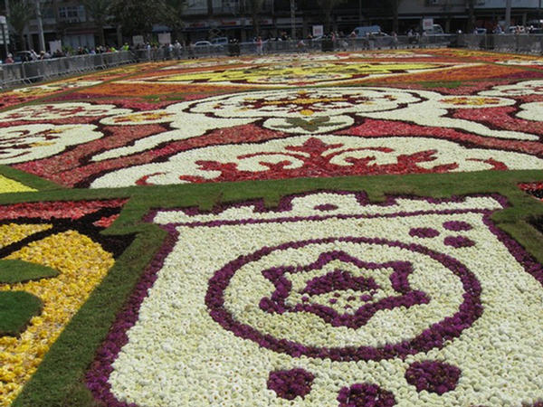 Tel Aviva Carpet of 500000 Flowers