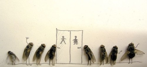 Dead Flies Skill