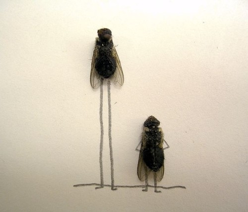 Dead Flies Skill