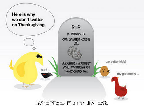 Tweet Tweet Funny Twitter Comics