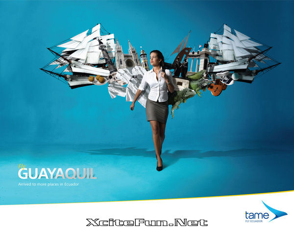 Tame Ecuador Airlines Spread Your Wings  Social Ads