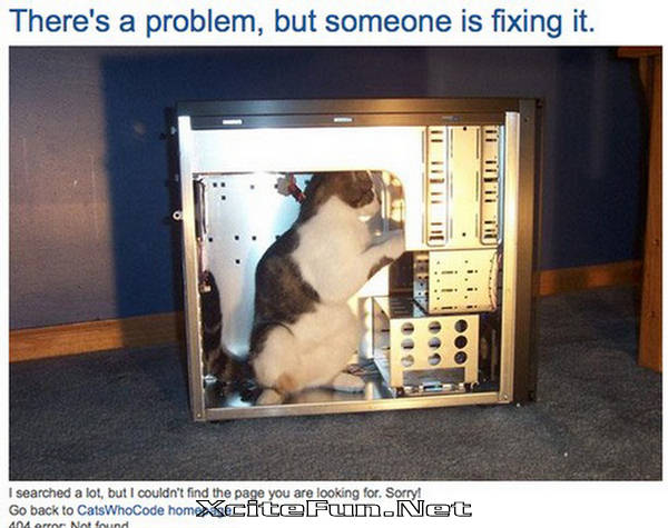 Error 404 Page Not Found or Broken Link