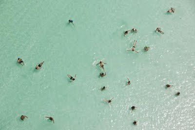 Amazing Birds Eye View