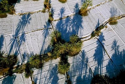 Amazing Birds Eye View