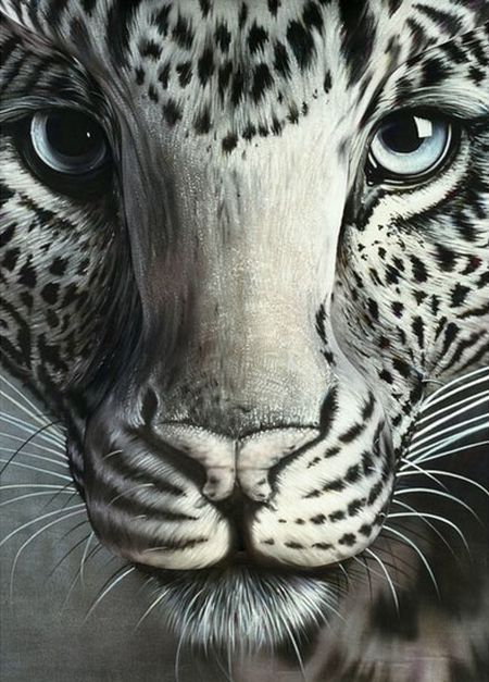 Amazing painting can u find a woman in it