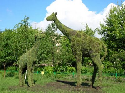 Breathing Grass Amazing Sculptures