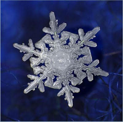 Snowflake Art