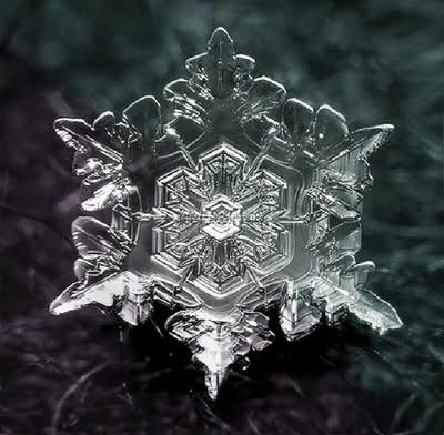 Snowflake Art