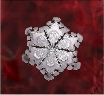 Snowflake Art