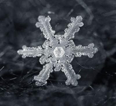Snowflake Art