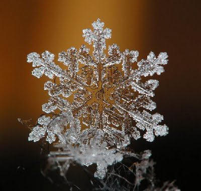 Snowflake Art