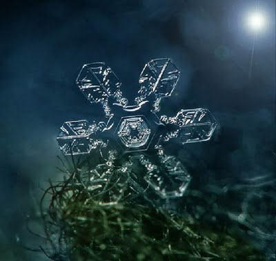 Snowflake Art