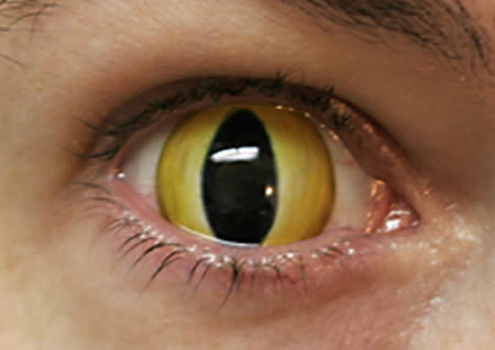 A collection of 15 strangest contact lenses