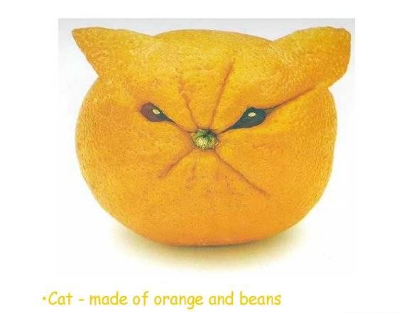 What if fruits look like animals