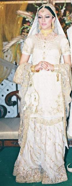 WINTER SEASON BRIDAL DRESSES OF 2009