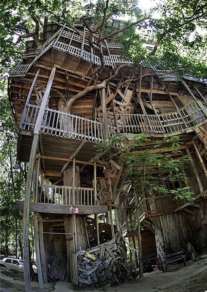 Funny Tree House