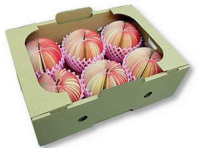 இது உண்பதற்கு அல்ல 133312,xcitefun-gorgeous-paper-apple-crafts-5