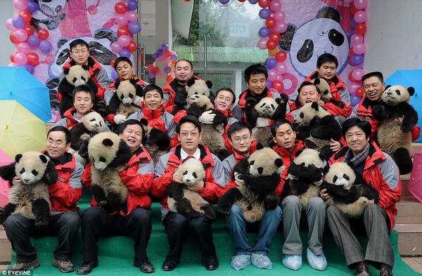 Panda Pupils  My First Day At School