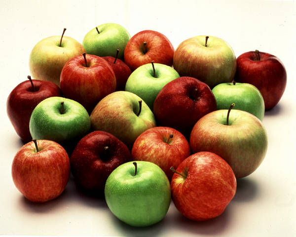 Most Effective Fat Burning Foods 152503,xcitefun-fat-burning-apples