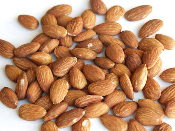 Most Effective Fat Burning Foods 152504,xcitefun-fat-burning-almonds