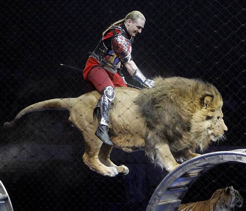 Lion's Future-Riding 153768,xcitefun-riding-02