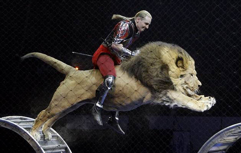 Lion's Future-Riding 153769,xcitefun-riding-01