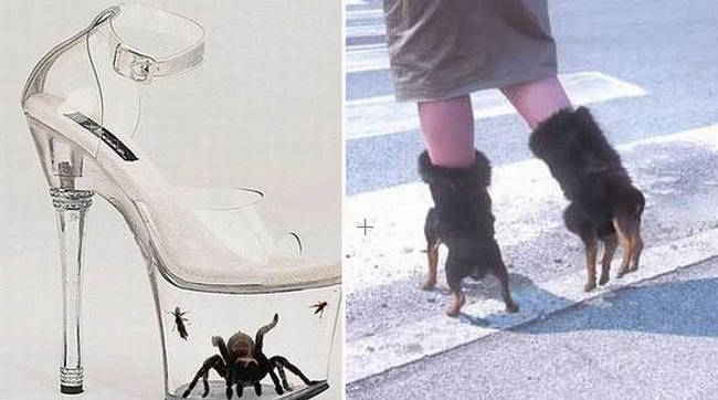 48 White Craziest shoes ever for Women