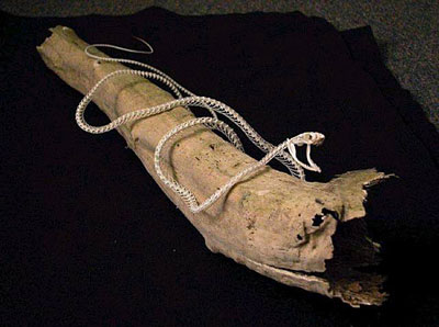 عظام افاعى 160588,xcitefun-snake-2