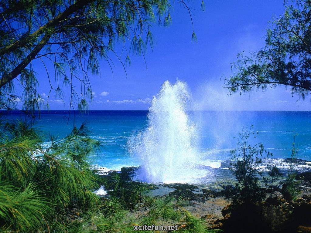 Image Result For Hawaii Vacations Travel Guide Information Hawaii Image Result For Hawaii Vacations Travel Guide Information Hawaii