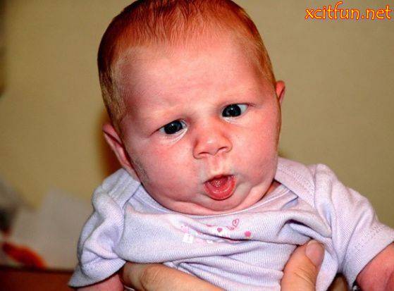 ... views 14908 post subject funny cute baby face funny cute baby face